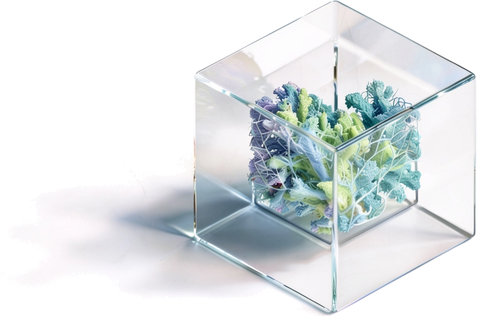 Glass cube containing colorful neural structures